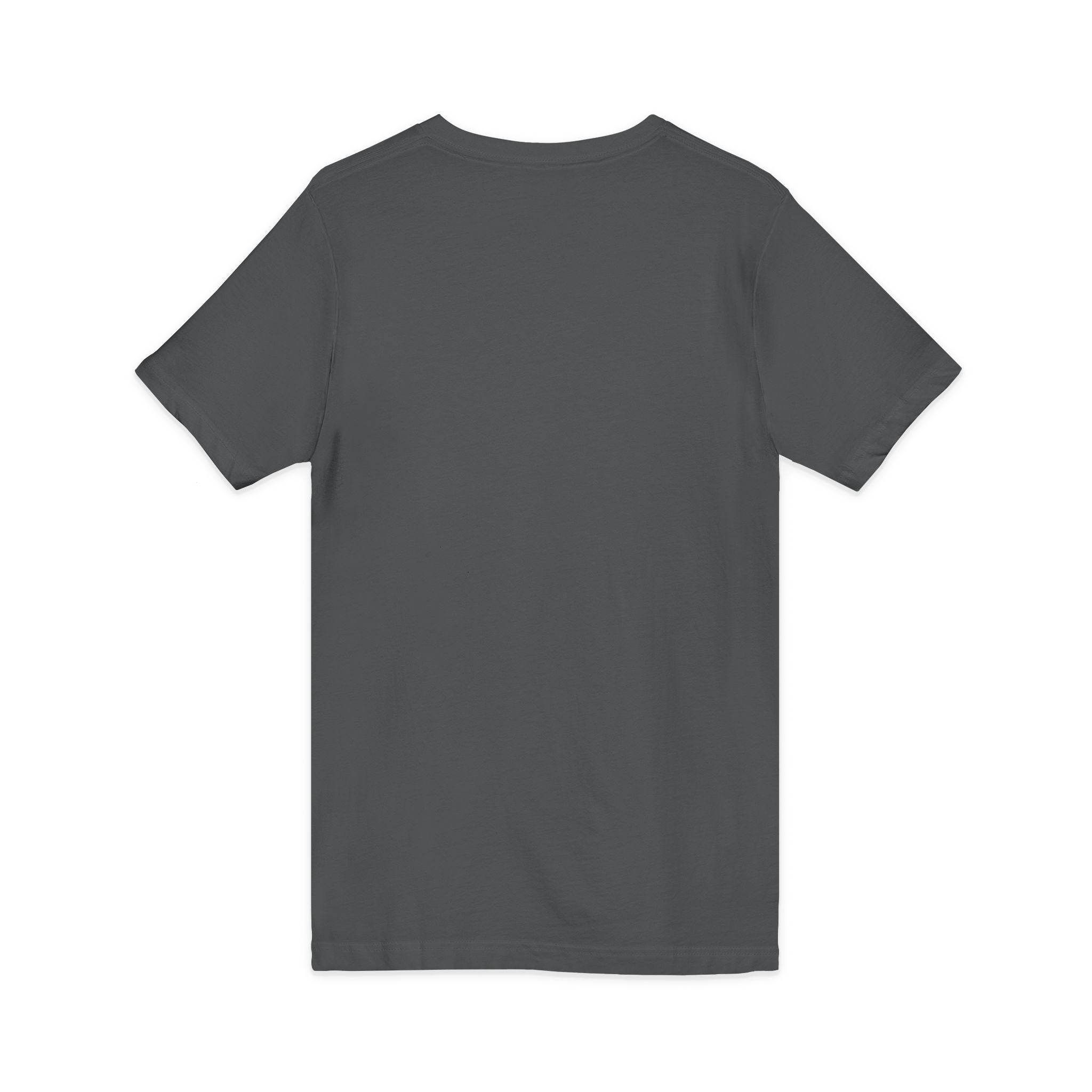 What's It Say Tees-Man Child V-Neck Tee — Retro Horseshoe Magnet Graphic Shirt