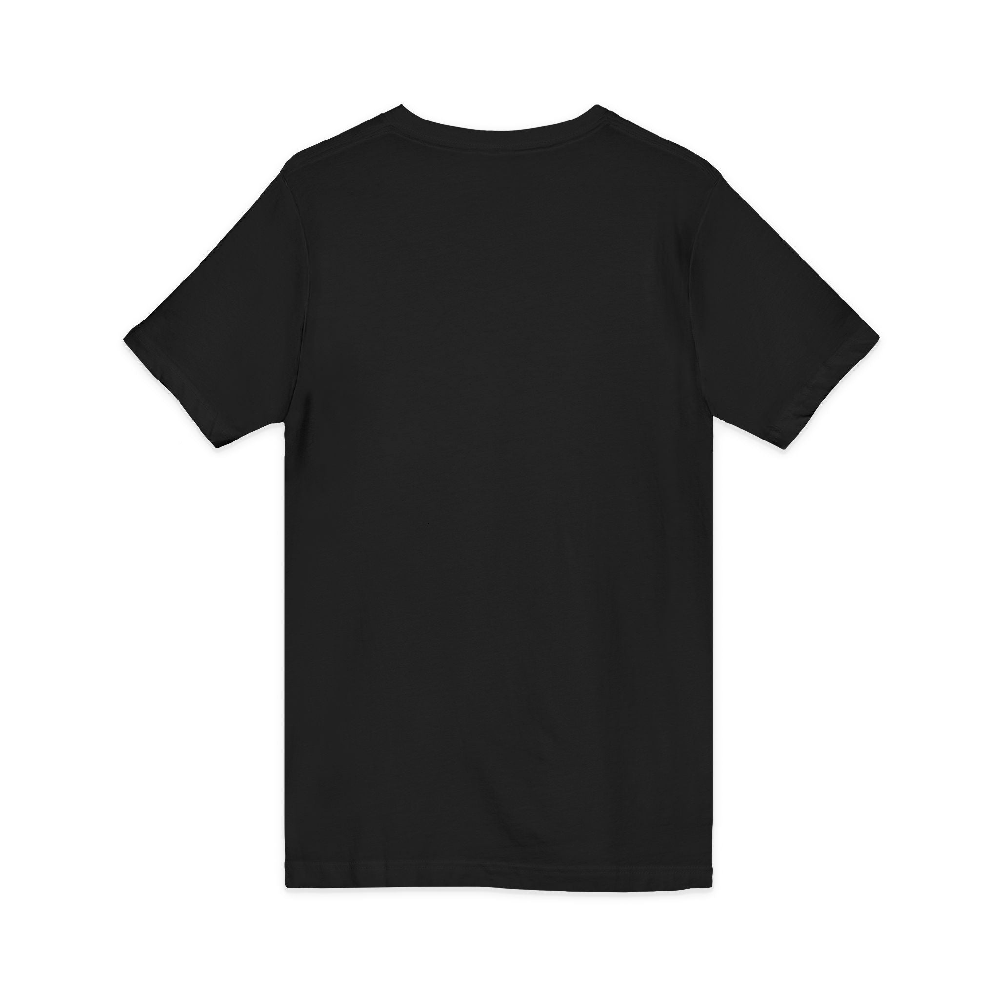Facts About the Word "No" V-Neck Tee