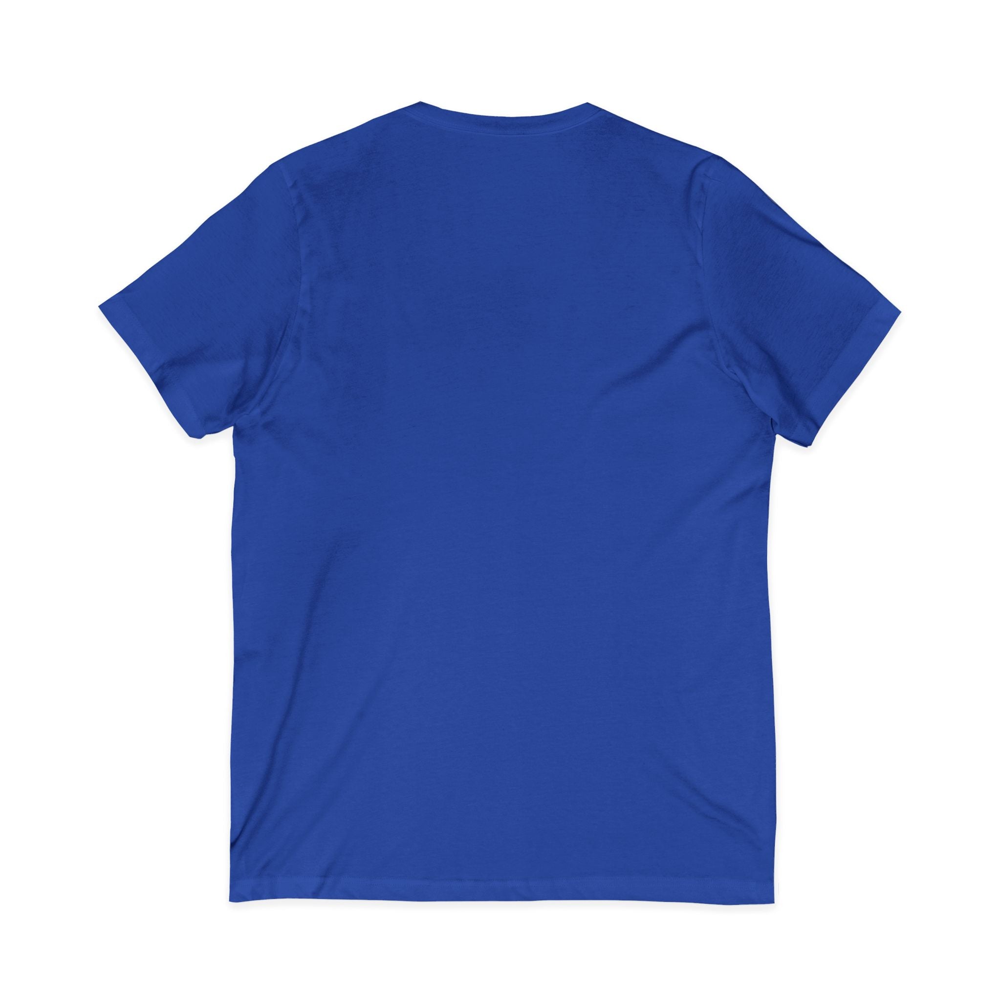 Facts About the Word "No" V-Neck Tee