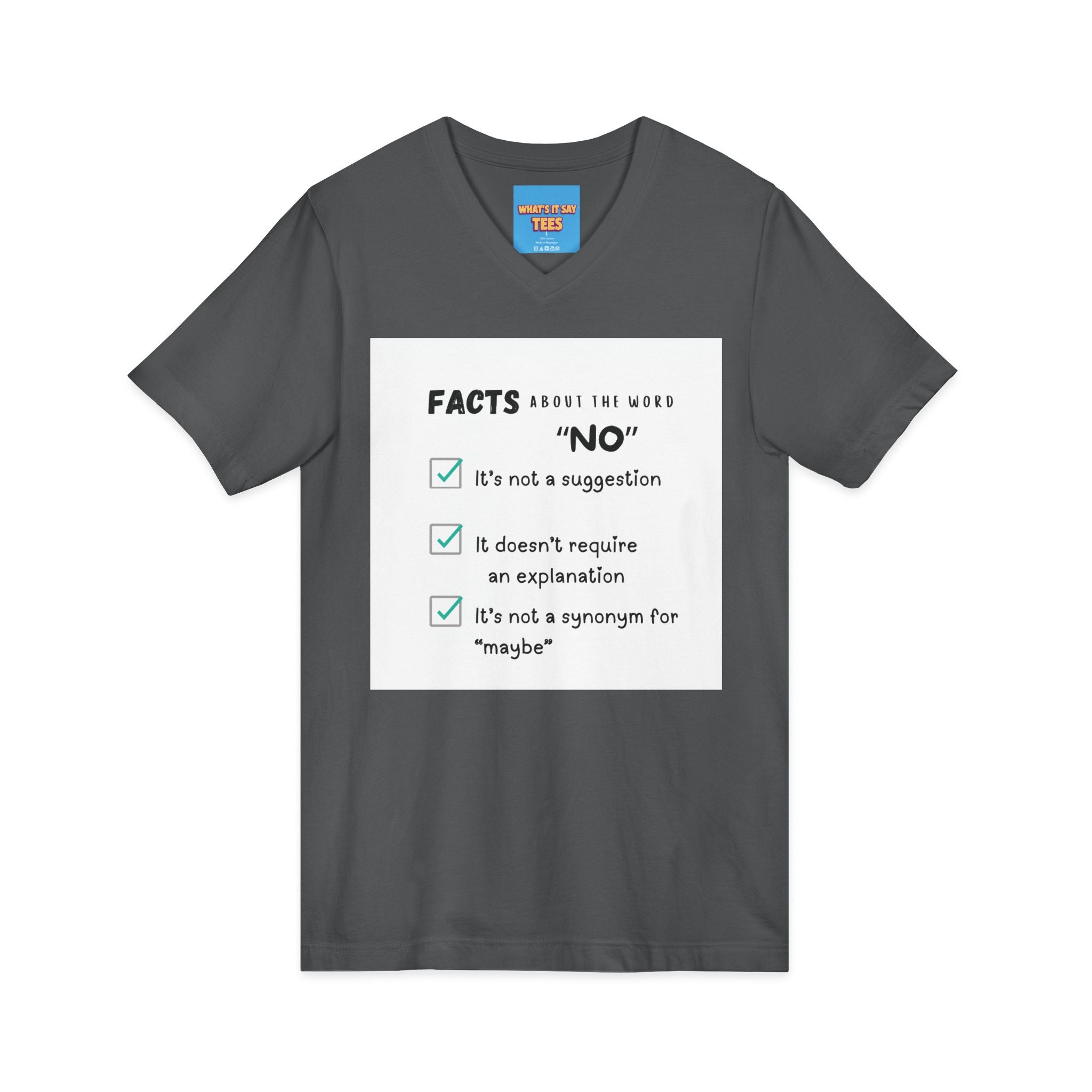 Facts About the Word "No" V-Neck Tee