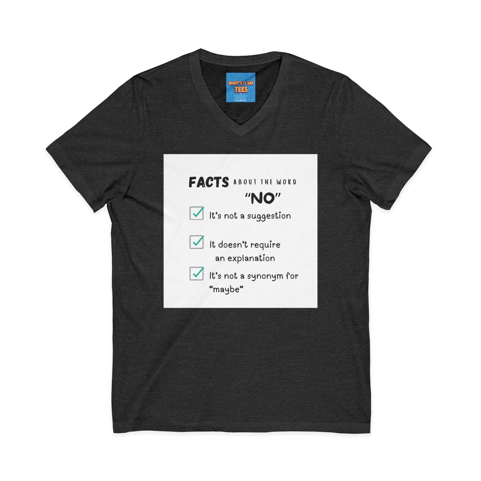 Facts About the Word "No" V-Neck Tee